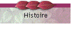 Histoire
